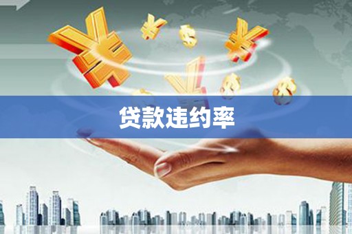 嵩县贷款违约率
