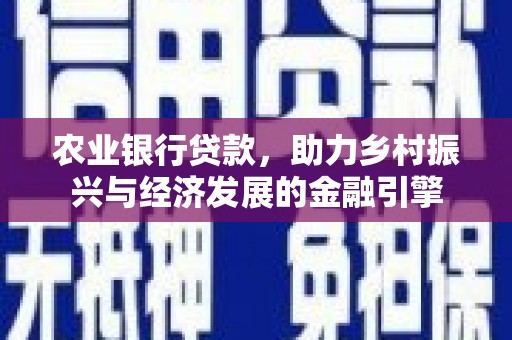 嵩县农业银行贷款，助力乡村振兴与经济发展的金融引擎