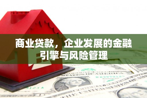 嵩县商业贷款，企业发展的金融引擎与风险管理