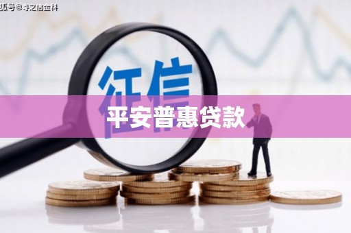 嵩县平安普惠贷款