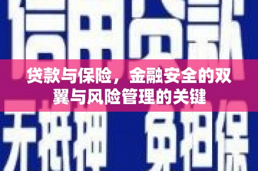 嵩县贷款与保险，金融安全的双翼与风险管理的关键