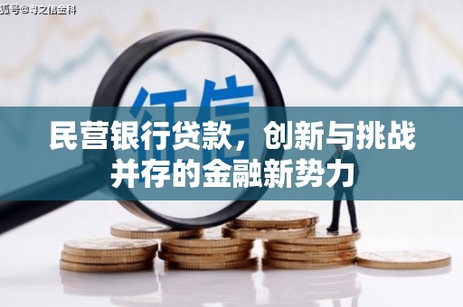 嵩县民营银行贷款，创新与挑战并存的金融新势力