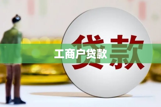 嵩县工商户贷款