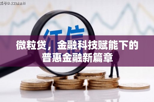 嵩县微粒贷，金融科技赋能下的普惠金融新篇章