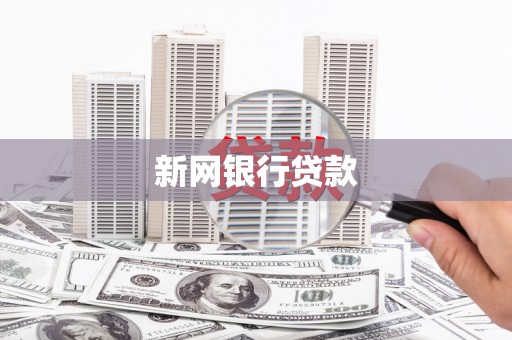 嵩县新网银行贷款