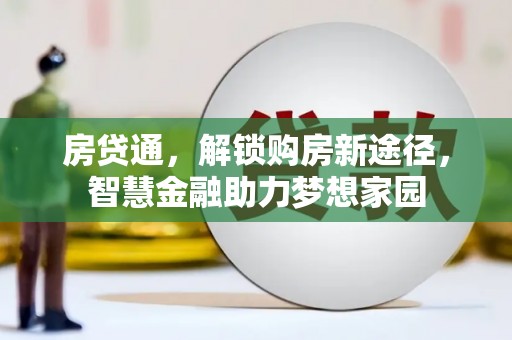 嵩县房贷通，解锁购房新途径，智慧金融助力梦想家园