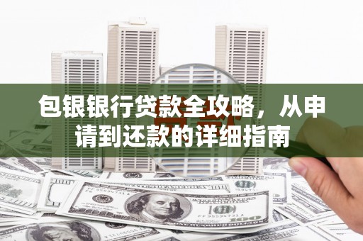 嵩县包银银行贷款全攻略，从申请到还款的详细指南