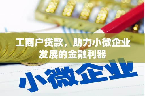 嵩县工商户贷款，助力小微企业发展的金融利器