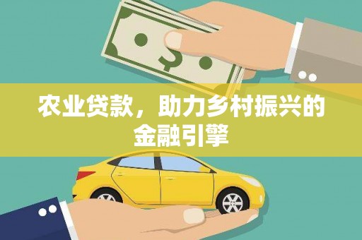 嵩县农业贷款，助力乡村振兴的金融引擎