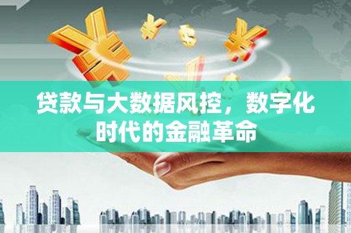 嵩县贷款与大数据风控，数字化时代的金融革命
