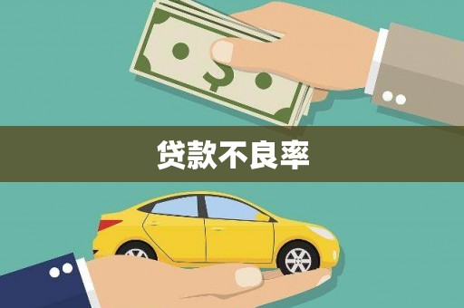 嵩县贷款不良率
