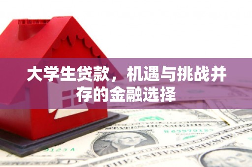 嵩县大学生贷款，机遇与挑战并存的金融选择