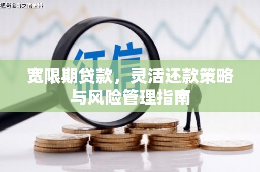 嵩县宽限期贷款，灵活还款策略与风险管理指南