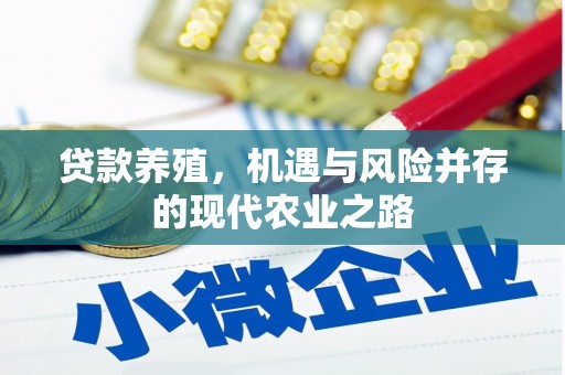 嵩县贷款养殖，机遇与风险并存的现代农业之路