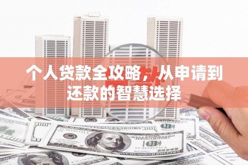 嵩县个人贷款全攻略，从申请到还款的智慧选择