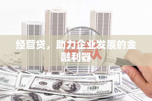 嵩县经营贷，助力企业发展的金融利器