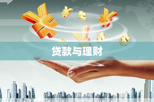 嵩县贷款与理财