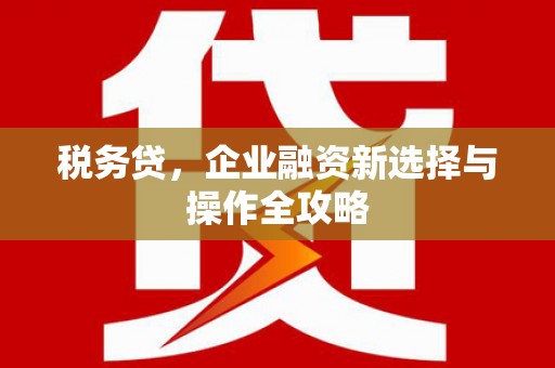嵩县税务贷，企业融资新选择与操作全攻略