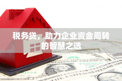 嵩县税务贷，助力企业资金周转的智慧之选