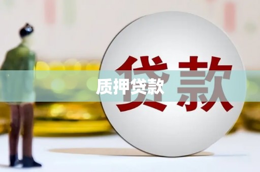 嵩县质押贷款