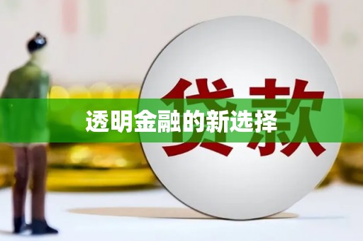 嵩县透明金融的新选择