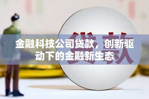 嵩县金融科技公司贷款，创新驱动下的金融新生态
