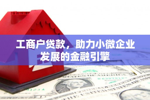 嵩县工商户贷款，助力小微企业发展的金融引擎