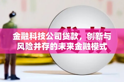嵩县金融科技公司贷款，创新与风险并存的未来金融模式