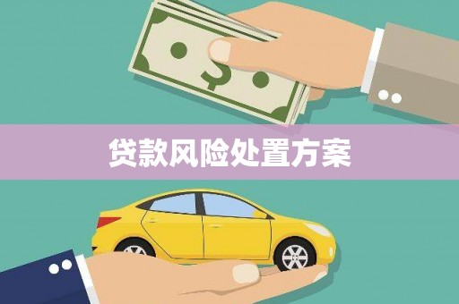 嵩县贷款风险处置方案