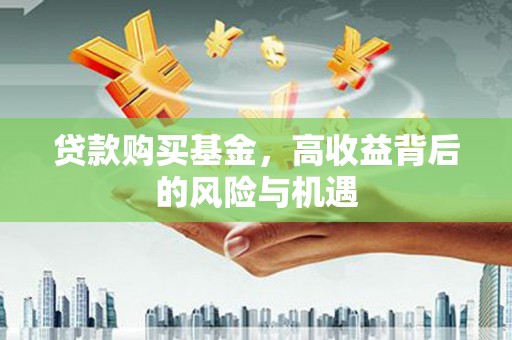 嵩县贷款购买基金，高收益背后的风险与机遇