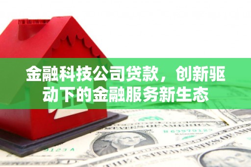 嵩县金融科技公司贷款，创新驱动下的金融服务新生态