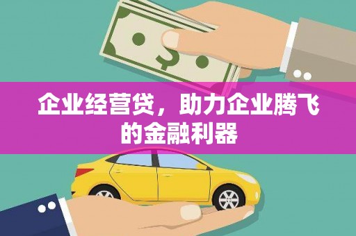 嵩县企业经营贷，助力企业腾飞的金融利器