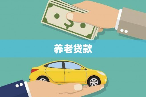 嵩县养老贷款