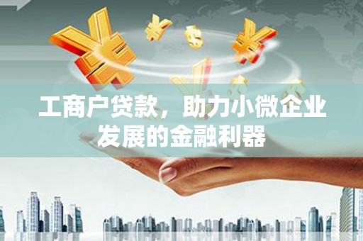 嵩县工商户贷款，助力小微企业发展的金融利器
