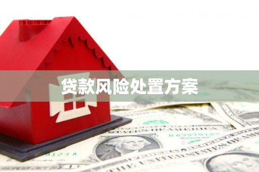 嵩县贷款风险处置方案