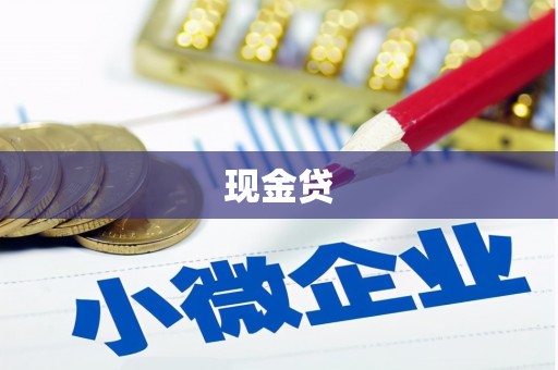 嵩县现金贷