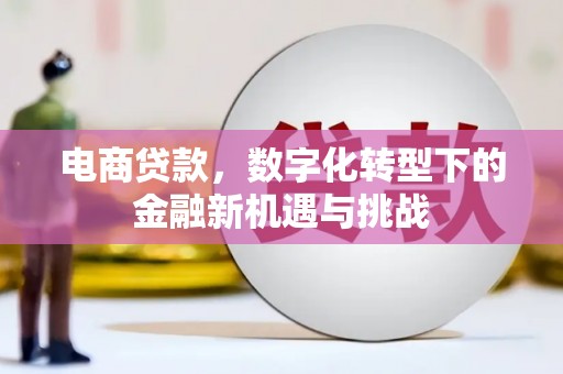 嵩县电商贷款，数字化转型下的金融新机遇与挑战