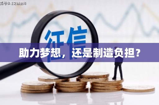 嵩县助力梦想，还是制造负担？