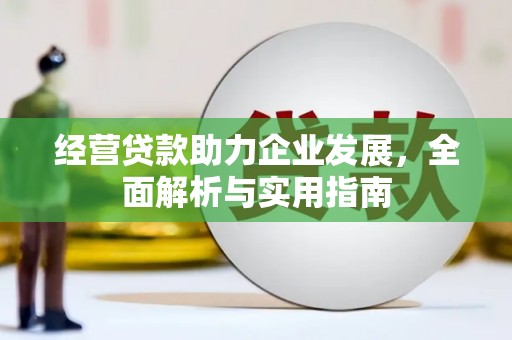 嵩县经营贷款助力企业发展，全面解析与实用指南