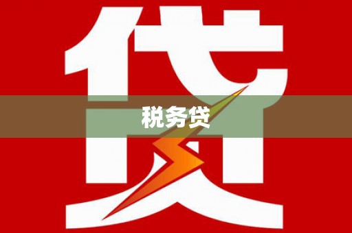 嵩县税务贷