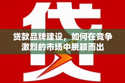 嵩县贷款品牌建设，如何在竞争激烈的市场中脱颖而出