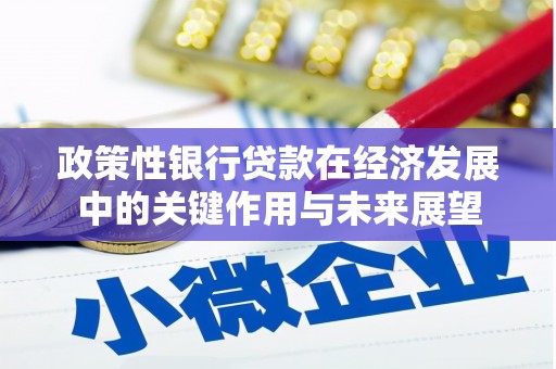 嵩县政策性银行贷款在经济发展中的关键作用与未来展望