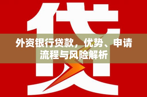 嵩县外资银行贷款，优势、申请流程与风险解析