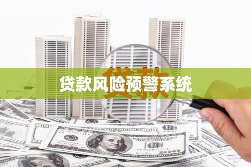 嵩县贷款风险预警系统