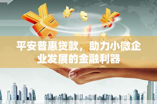 嵩县平安普惠贷款，助力小微企业发展的金融利器