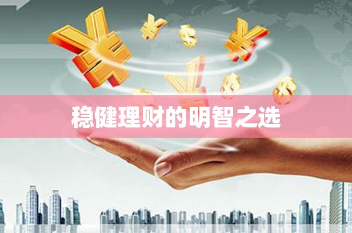嵩县稳健理财的明智之选