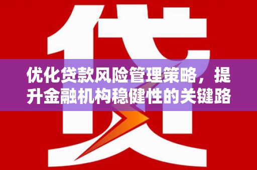 嵩县优化贷款风险管理策略，提升金融机构稳健性的关键路径