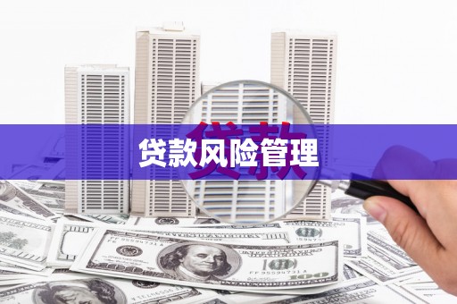 嵩县贷款风险管理