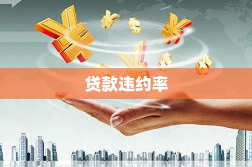 嵩县贷款违约率