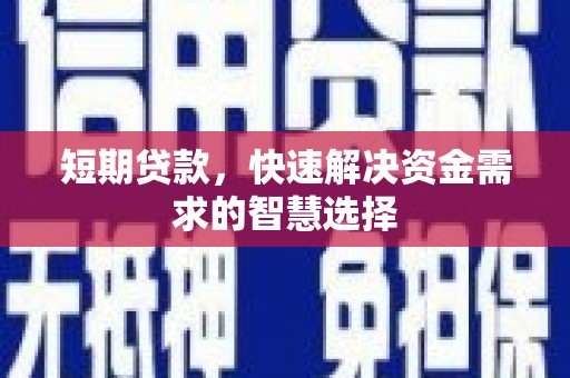 嵩县短期贷款，快速解决资金需求的智慧选择